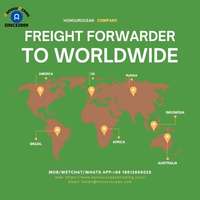 Services logistiques DDP LCL, coût d'expédition, fret maritime, transitaire Chine vers Guyane, El Salvador, Chili, Brésil, Équateur