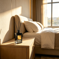 Diffuseur de parfum d'ambiance WELLNESS pour la maison, personnalisable avec logo, nouveau design, bouteille en verre, bâtonnets diffuseurs d'arômes pour la pièce, cadeau