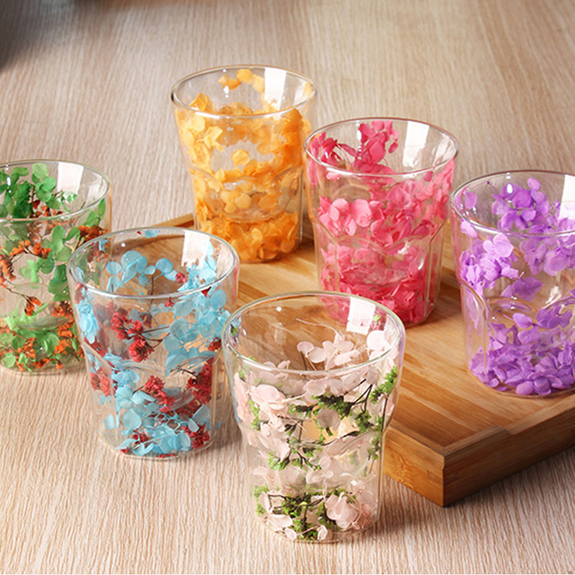 BPA Free High Quality Colorful Double Layer Borosilicate Glass Cup with Dry Flowers Decorations
