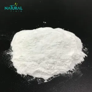 ISO Factory Wholesale Sodium Hyaluronate Powder Hyaluronic Acid Powder High Molecular Weight Hyaluronic Acid Powder