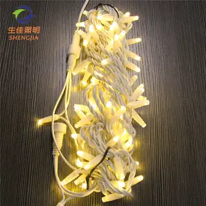 假日户外100 LED灯串10M 220V 110V圣诞节圣诞节婚礼派对装饰花环照明圣诞灯