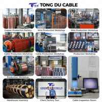 Cable Eléctrico de Cobre Puro TD con Aislamiento de PVC de 1.5mm 2.5mm para Cableado Doméstico BV/BVR/BVV/BVVB