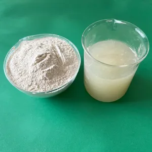 Food Grade 200 Mesh Xanthan Gum Powder