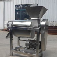 Grote commerciële industriële sapcentrifuges met hoge productiviteit voor fruit en groenten, geschikt voor appels en ananas.