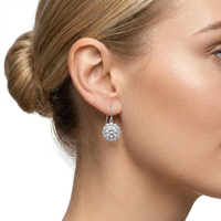 Boucles d'oreilles pendantes élégantes en zircon cubique rond, design halo floral, bijoux en acier inoxydable pour femmes