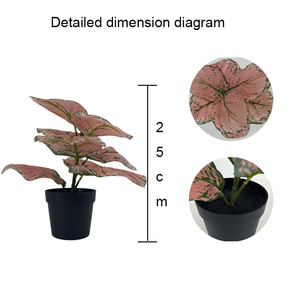 Pianta Artificiale in Plastica con Foglie Verdi da 25cm, Resistente all'Acqua e ai Raggi UV, Ecologica per Decorazione Casa e Vita <span class=keywords><strong>Verde</strong></span> - Product Image 4