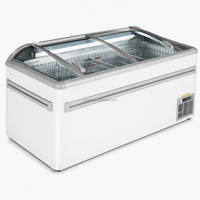Congelador Horizontal de Gran Capacidad de 600L, de Una Sola Temperatura, Directo de Fábrica, para Helados