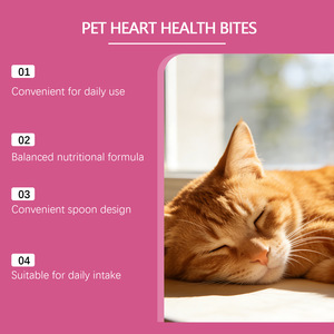 ขนมบำรุงหัวใจสำหรับแมว ผสมโอเมก้า 3 เสริมภูมิคุ้มกัน รูปทรงหัวใจ เพื่อสุขภาพแมวทุกวัน - Product Image 4