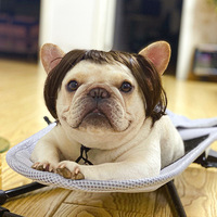 Perruque de cosplay personnalisée pour animaux de compagnie, perruque ajustable, accessoire de costume amusant pour animaux, déguisement pour animaux