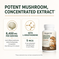 Capsules de champignons fonctionnelles pour la défense immunitaire, l'équilibre du stress et le soutien de l'endurance chez les adultes – Approvisionnement OEM en vrac