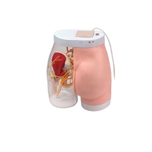 Modèle d'<span class=keywords><strong>injection</strong></span> <span class=keywords><strong>intramusculaire</strong></span> fessière à retour d'information intelligent - Product Image 5
