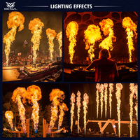 Machine à Effets Spéciaux Professionnelle pour Scène, 2 Têtes, Contrôle Manuel DMX, Machine à Flammes Électrique pour Spectacles, Événements, Concerts