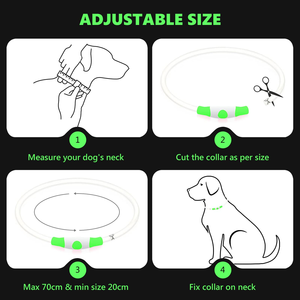<b>Dog</b> Accessories Waterproof Pet Flashing Light up <b>Dog</b> Collar USB Rechargeable Night Safety Luminous Glowing Led <b>Dog</b> Collar - Product Image 2