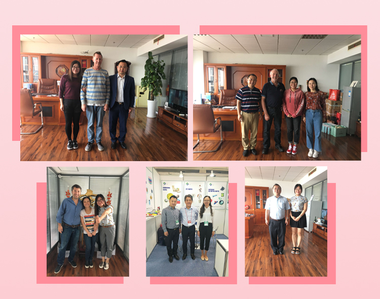 AROMA HOME Wholesale Handmade Dried Flower Car Home Fragrance Scented Soy Wax Tablets Candle 20