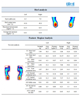 Prix direct usine : Analyseur de pression plantaire pour podologie, analyse de la marche, orthèses de pied, scanner USB, plaque de mesure de pression plantaire, certifié CE