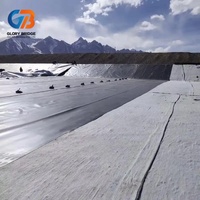 Bâche imperméable en bentonite flexible et facile à poser pour l'étanchéité des toits, des jardins et des structures souterraines