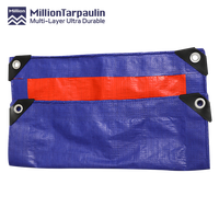 Bâche en polyéthylène MILLION bleu foncé et orange, matériau PE, feuille de bâche robuste, fabricant chinois, bâche pour bassin à poissons