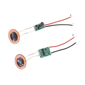 Taidacent Anti-métal petite bobine à courant élevé Module de charge à résonance magnétique chargeur inductif PCB Diy Kit de chargeur sans fil