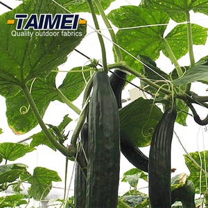 Vườn 15x17cm PP nhà máy <span class=keywords><strong>trellis</strong></span> lưới polyester nhà máy hỗ trợ leo cây <span class=keywords><strong>trellis</strong></span> lưới - Product Image 5