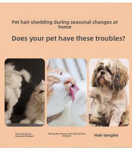 Spazzola Rimuovi Peli per Animali Domestici in Plastica Ecologica con Design Autopulente, Punte Arrotondate per Cani e Gatti a Pelo Lungo, Evita Irritazioni Cutanee - Product Image 6