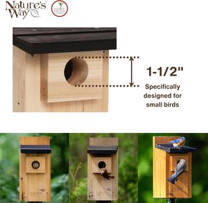 Casetta per Uccelli <span class=keywords><strong>in</strong></span> <span class=keywords><strong>Legno</strong></span> di Cedro Non Finita da Appendere, Decorazione da Giardino - Product Image 4
