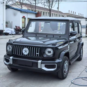 Vehículo Eléctrico de Alta Calidad con Volante a la Izquierda/Derecha, 4 Ruedas, 4 Asientos, Aire Acondicionado, Velocidad de 60 km/h, Bajo <span class=keywords><strong>Precio</strong></span>, Gran G, Vehículo de Nueva Energía - Product Image 5