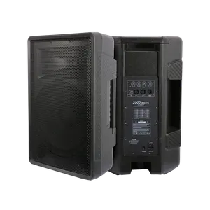 RQSONIC CBE15ADA Professional P Audio 500W 15" Inch Active Digital Powered Speaker Plastic Cabinet Stage PA Speaker Sound System