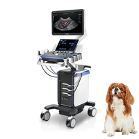 Machine à ultrasons Mindray Veterinary Vetus 7 pour système d'imagerie vétérinaire Ultrasonido Doppler couleur pour le diagnostic des animaux