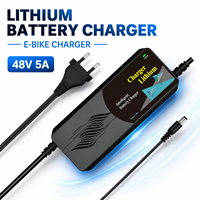 Service ODM/OEM de haute qualité, chargeur Li-ion 48V5A pour vélos électriques, charge intelligente de la batterie, conception sécurisée, CE ROHS FCC