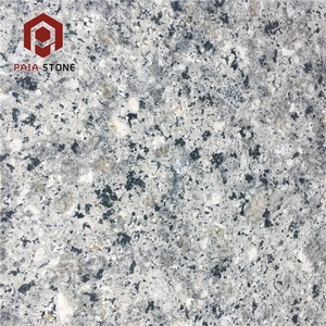 Carrelage en granit gris clair bleu perle <span class=keywords><strong>50x50</strong></span> <span class=keywords><strong>dalle</strong></span> de pavage bloc de granit gris flamme - Product Image 3