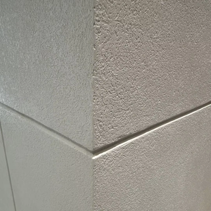 Vernice Liquida Acrilica Industriale per Pareti a Base d'Acqua Marca BEXISYA, Arte Murale Argentite Rustica Contemporanea per Portare <span class=keywords><strong>la</strong></span> Natura a Casa - Product Image 2