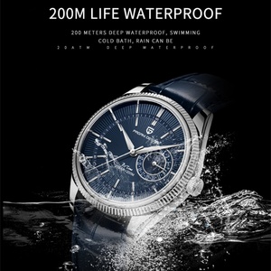 PAGANI DESIGN 1689 Business Chronograph <b>Watches</b> Sapphire Glass Luxury Fashion Men's Quartz Japan VH65 Drive Water Resist <b>Watches</b> - Product Image 3