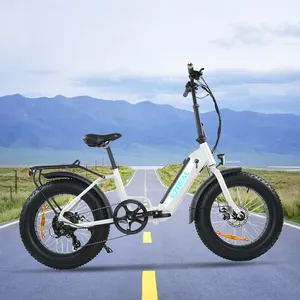 Ezreal China จักรยานไฟฟ้าพับได้จอ LCD, จีน20นิ้ว500 W 10.4 ah น้ำหนักเบาลงหลอดแบตเตอรี่ตำแหน่ง