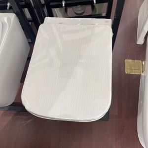 Inodoro de cerámica personalizado con sifón en P, montado en la pared, fácil de limpiar, para baños de lujo - Product Image 4