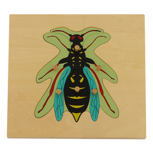BO014 Giáo Dục Trẻ Em Bằng Gỗ Đồ Chơi <span class=keywords><strong>Wasp</strong></span> Câu Đố Vật Liệu Montessori - Product Image 2