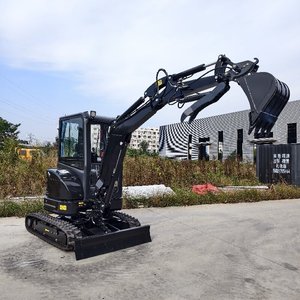 Miễn phí vận chuyển 2.5 tấn Mini Máy xúc với động cơ diesel hiệu quả cao đào máy móc Bagger - Product Image 3