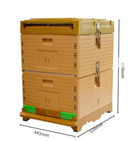 Matériel d'apiculture, ruche en plastique isolée Langstroth à 10 cadres, 3 couches ou 2 couches