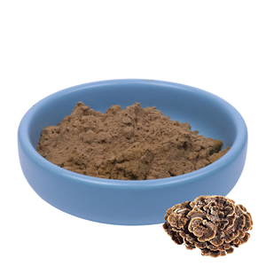 ผง3% สกัดจากหางไก่งวงจาก triterpenes สารสกัดจากเห็ด <span class=keywords><strong>coriolus</strong></span> <span class=keywords><strong>versicolor</strong></span> - Product Image 2