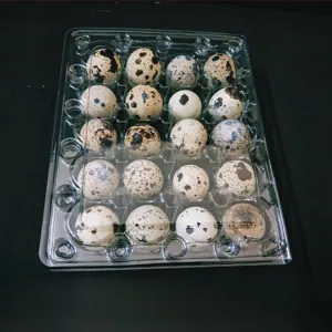 Bandejas al por mayor para huevos pequeños Gallinas más grandes de plástico 20 Cartón de huevos Clamshell