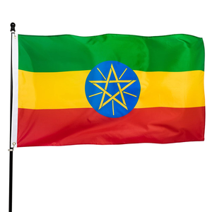 Personalizzazione <span class=keywords><strong>Materiale</strong></span> Campagna Elettorale Etiopia Maglietta Elettorale in Poliestere 120GSM Produttore - Product Image 5