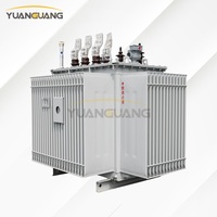 Transformador de Distribución Trifásico Totalmente Sellado de 20kV 250kVA 800kVA 1250kVA IEC con Aceite de Éster Natural para Plantas de Energía Solar