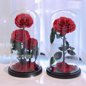 Véritable Rose Naturelle Belle Enchantée Fête des Mères Coffret Cadeau Décor Éternel Pour Toujours Rose Éternelle Fleur Préservée dans un Dôme en Verre Led - Product Image 2