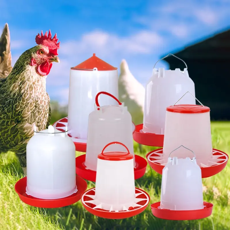 Plastic Poultry Feeder Pan Bucket Animal Feeders Water Drinker Farm Equipment Auto Chicken Feeder