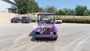 Auto Clásico Eléctrico de 11 Plazas, Cerrado, Estilo Vintage, para Turismo, de Baja Velocidad, con Puertas y Aire Acondicionado - Product Image 3