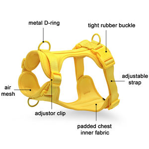 カスタムデザイナー耐久性Pvcソフト防水調節可能高級リードウォーク小型ペット犬の首輪リーシュセットパッド入りハーネス - Product Image 6
