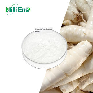 공장 가격 식품 등급 100% 천연 애로우 뿌리 분말 화살 뿌리 분말 Maranta Arundinacea 추출물 - Product Image 1