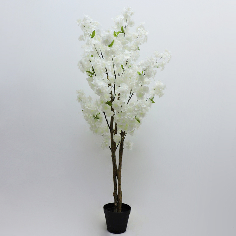 P240844XS-120 White