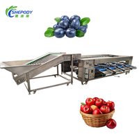 Sorteermachine voor Shepody Blueberry mango's, Cherry Tomaten, Uien, Fruit, Appels, Citrusvruchten, Avocado's en ander fruit.