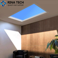 Rina Tech Fabrication Blue Sky Smart Scattering board Lamp Scattering board Rgb Led Ceiling Mount Lights plaque