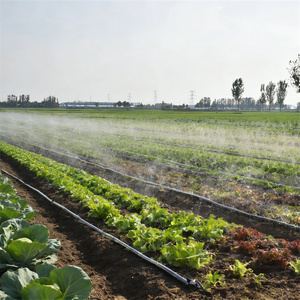 Tuyau d'irrigation plat en PE économique de 100 m, noir, diamètre <span class=keywords><strong>25</strong></span>-32 mm, économique et pratique pour les petites exploitations agricoles et les jardins - Product Image 5